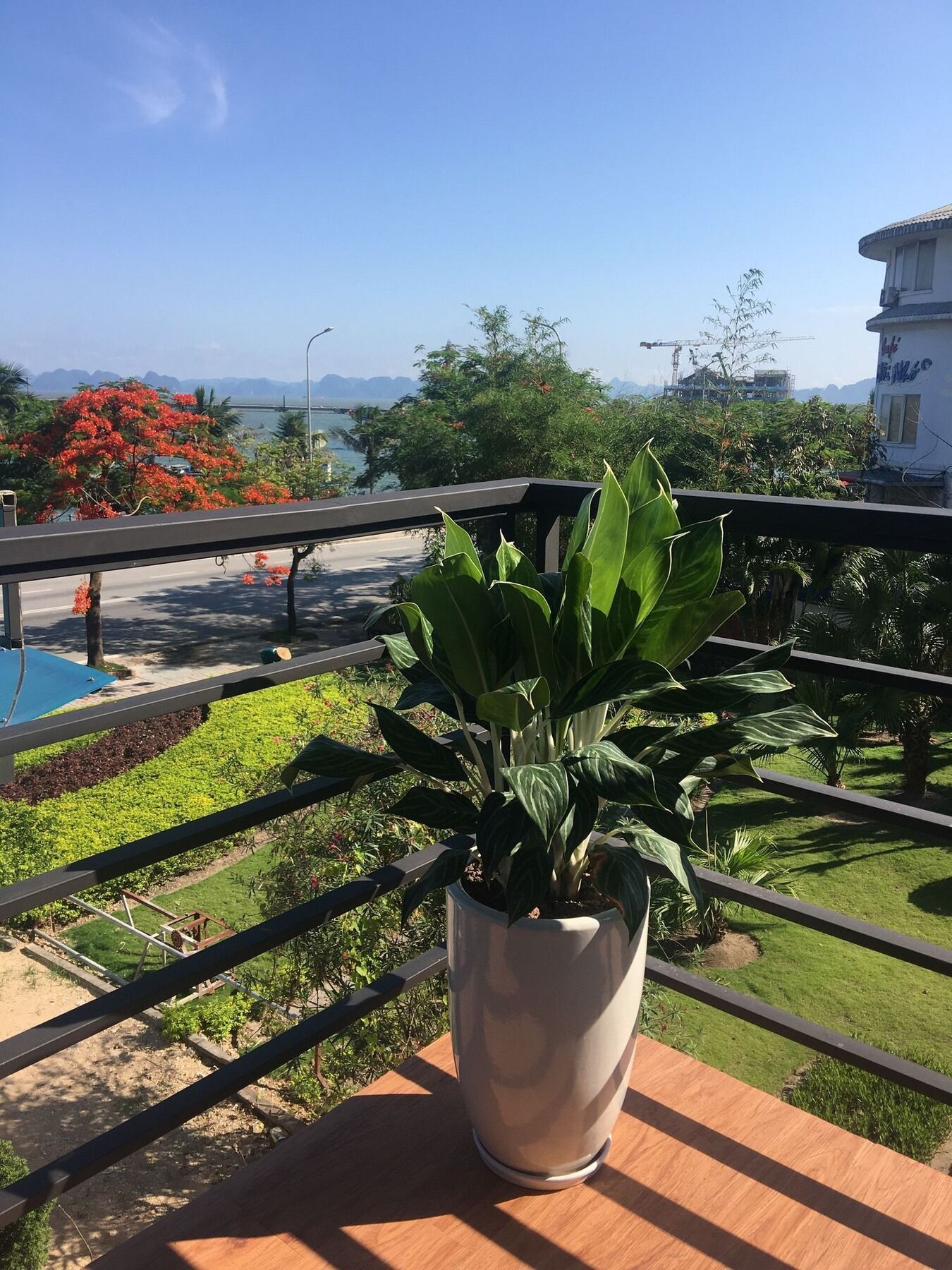 Bamboo Hotel & Apartments Hạ Long Exterior foto